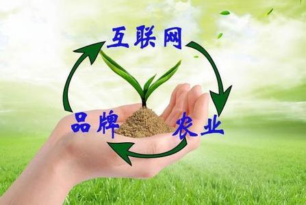 “互聯網+農業+品牌”等于什么？